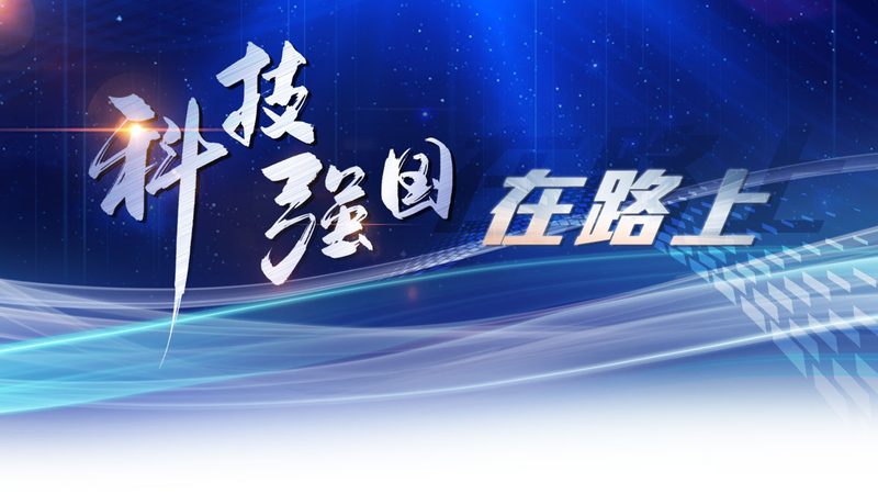 外贸SaaS平台：揭秘其背后的技术架构与选型要点